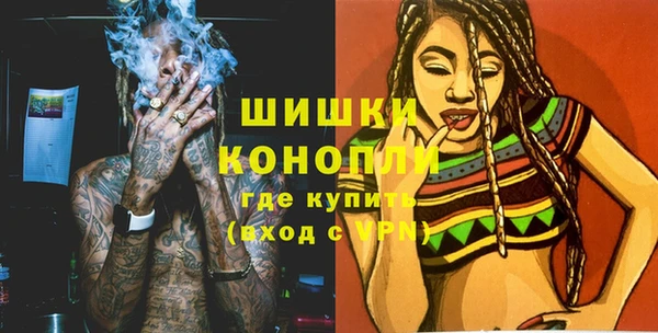 твердый Новоузенск