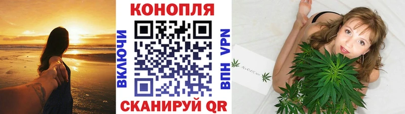 кракен ССЫЛКА как найти закладки Гагарин Бошки Шишки White Widow